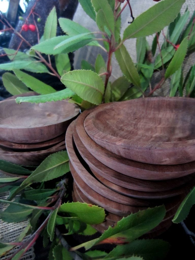 Toyon clippings - props for teaching ISLAND OF THE BLUE DOLPHINS by Scott O'Dell:  toyon branches and small wooden bowls for serving devilfish - a creative teaching idea from LitWits Workshops