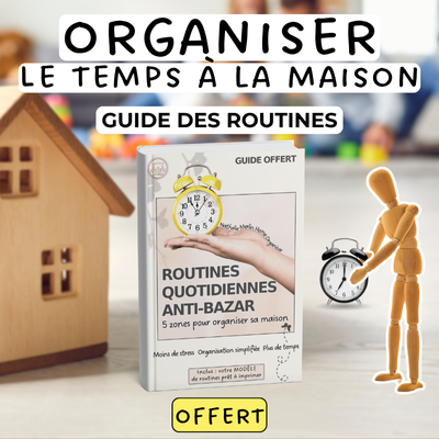Guide des routines quotidiennes anti-bazar - Nathalie MERLIN le cocon du Bordélique