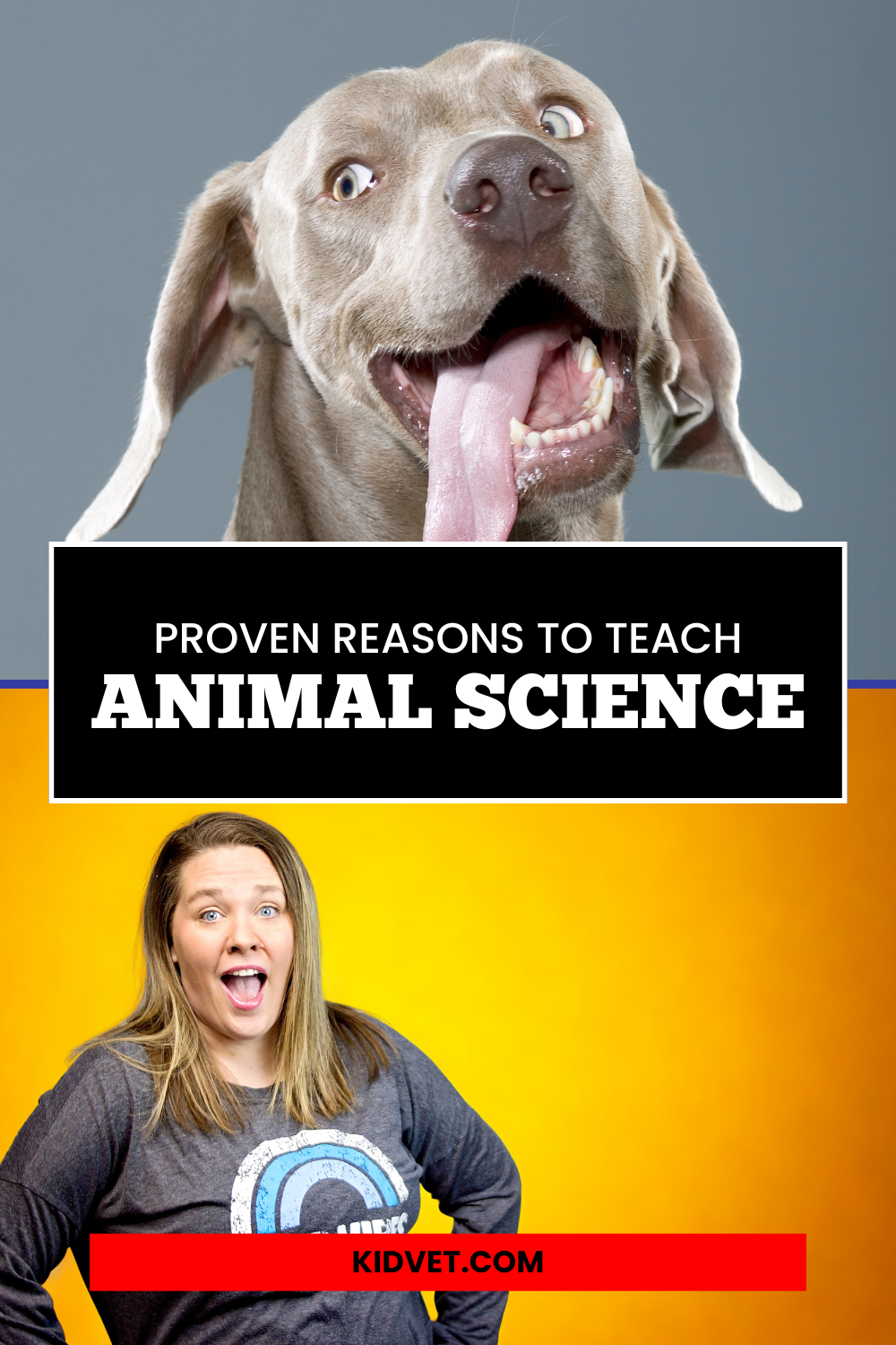 reasons to teach animal science in homeschool, science curriculum in homeschool