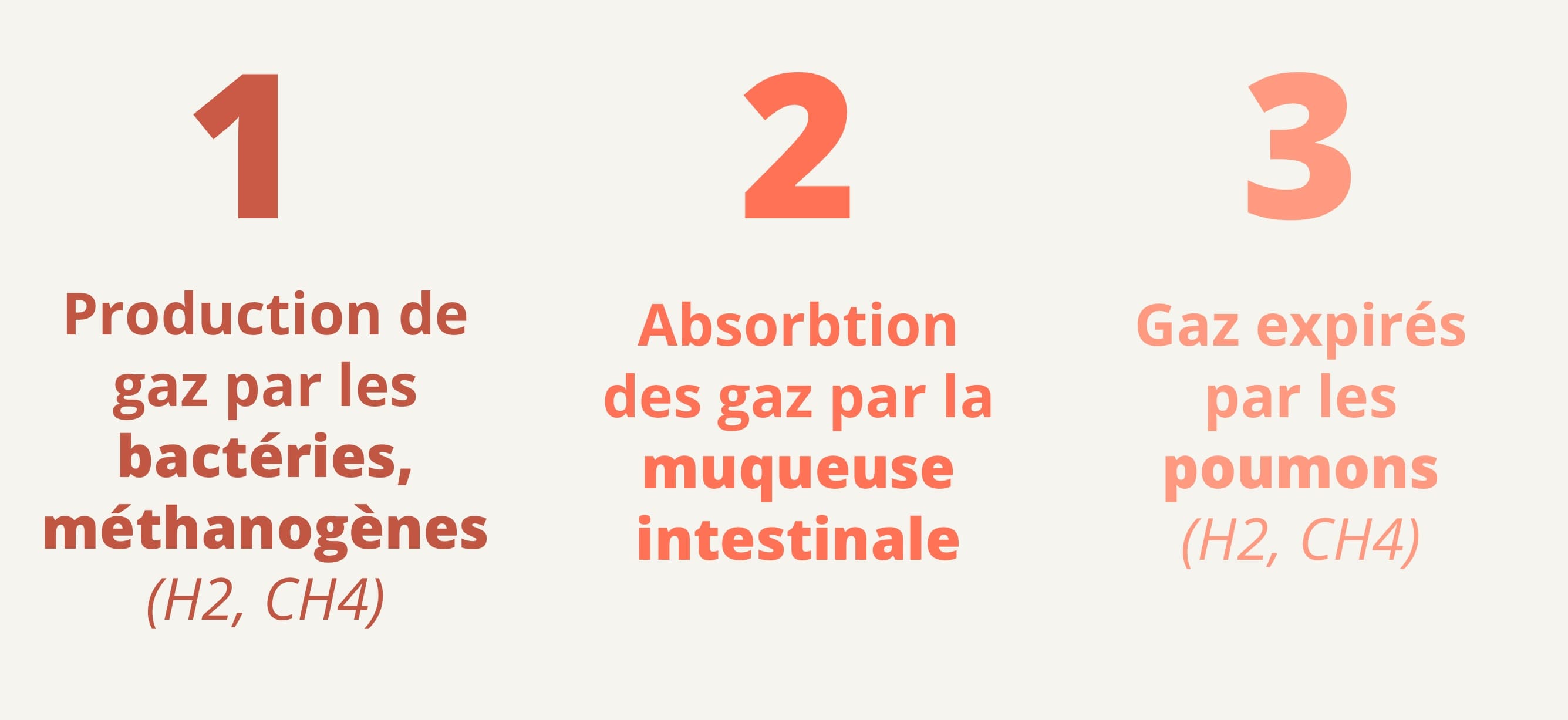 Test respiratoire sibo