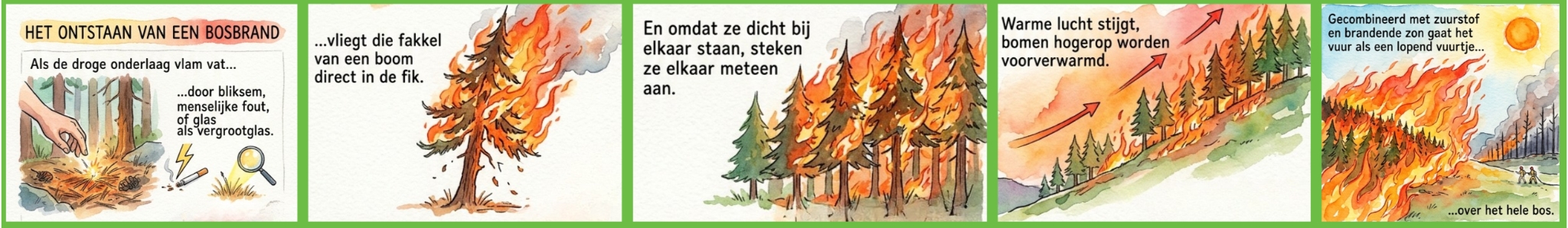 Een strip met uitleg hoe een bosbrand ontstaat