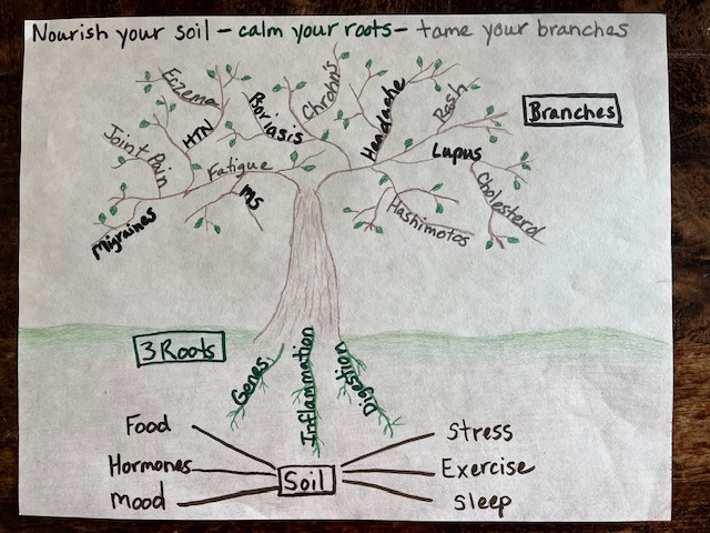root cause of autoimmune disease