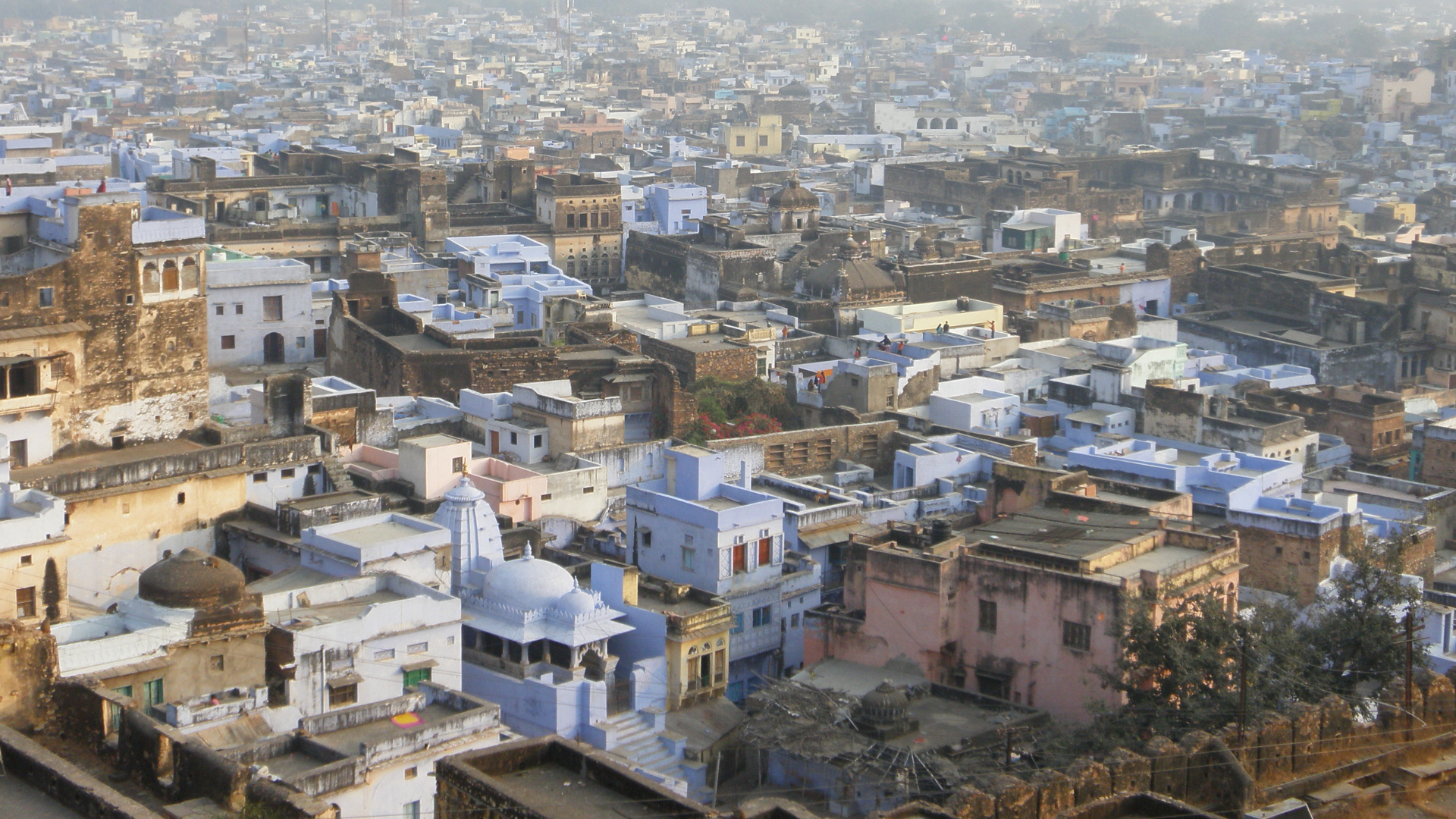 Bundi city’s Brahmin-blue rooftops