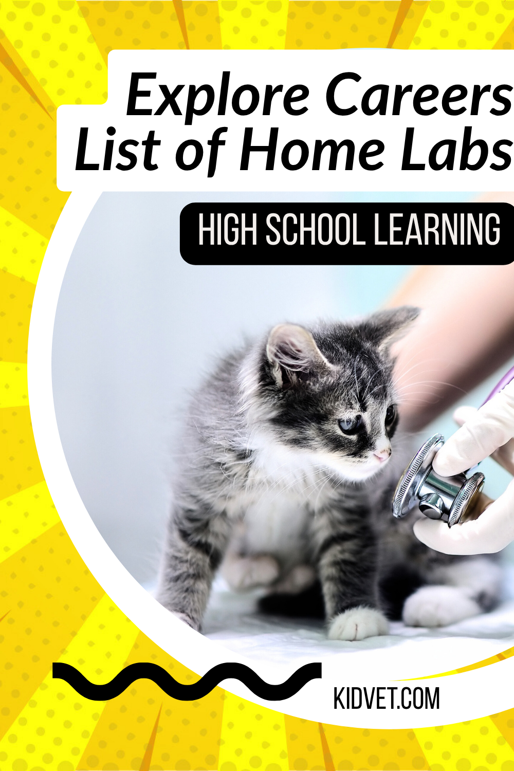 how can a high school student start learning about veterinary medicine