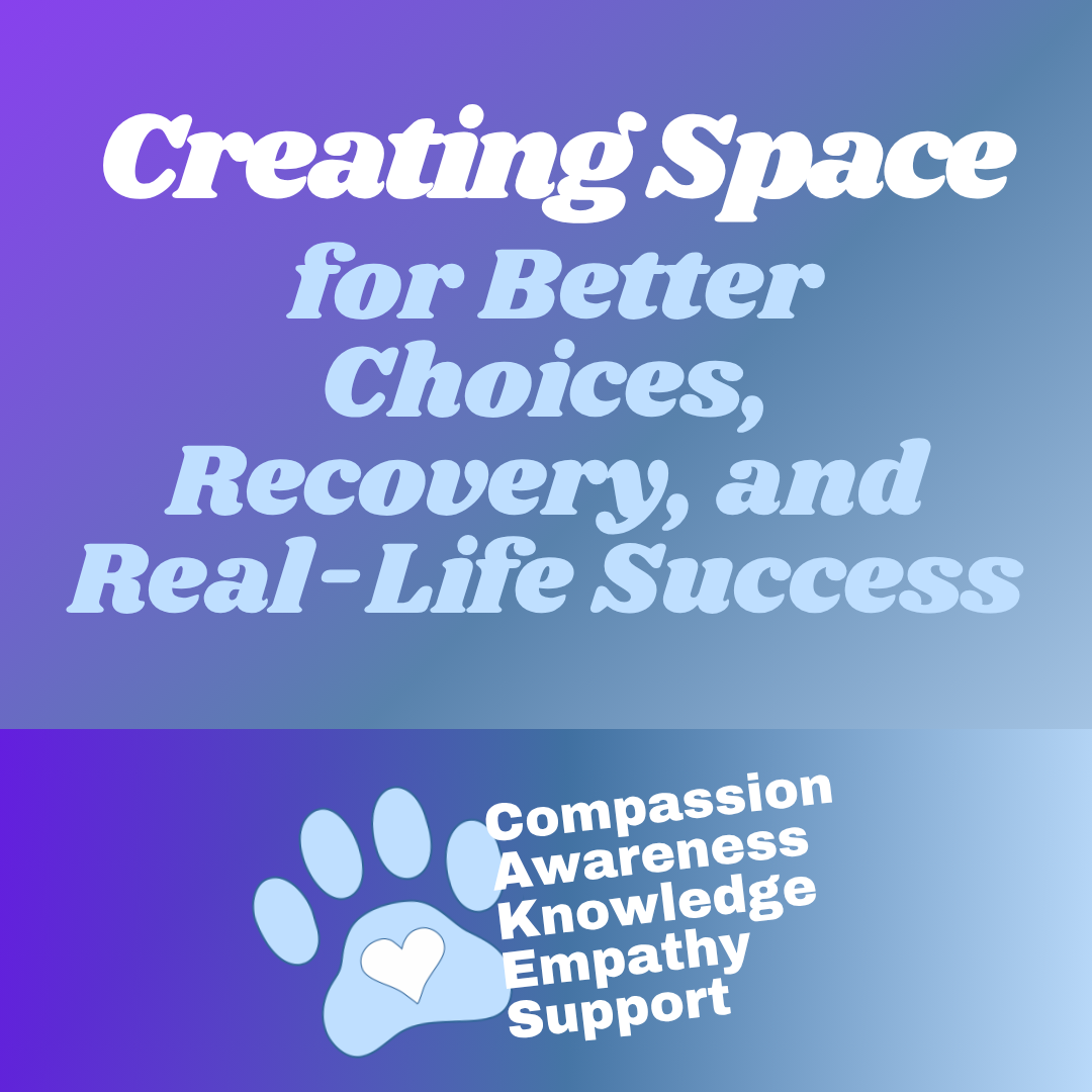 Purple and Blue background with the CAKES framework at the bottom and text states, "Creating Space for Better Choices, Recovery and Real-Life Success."