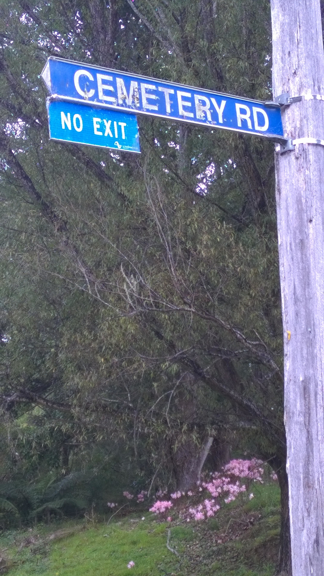 State Hwy 35 | East Cape NZ