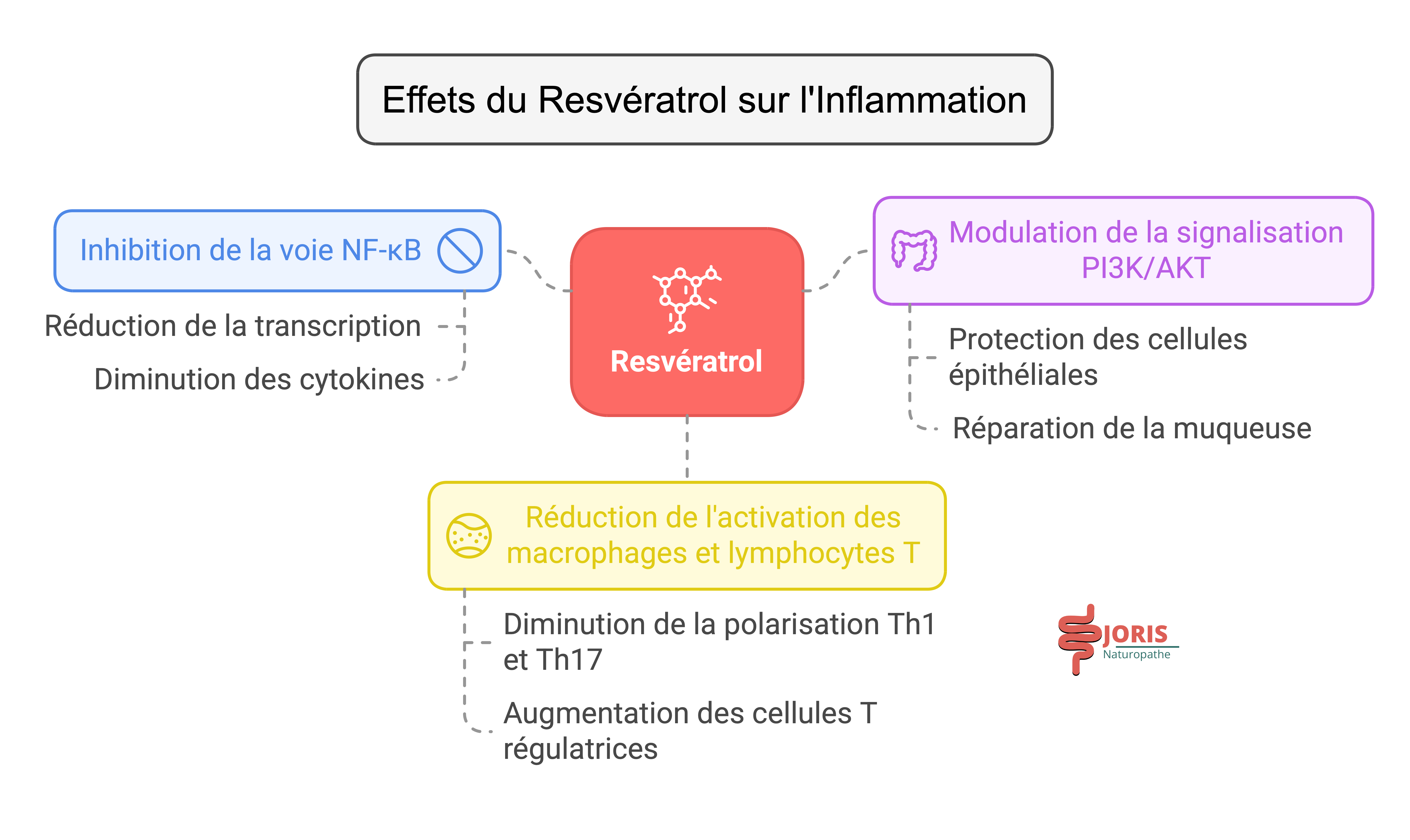 resveratrol rectocolite