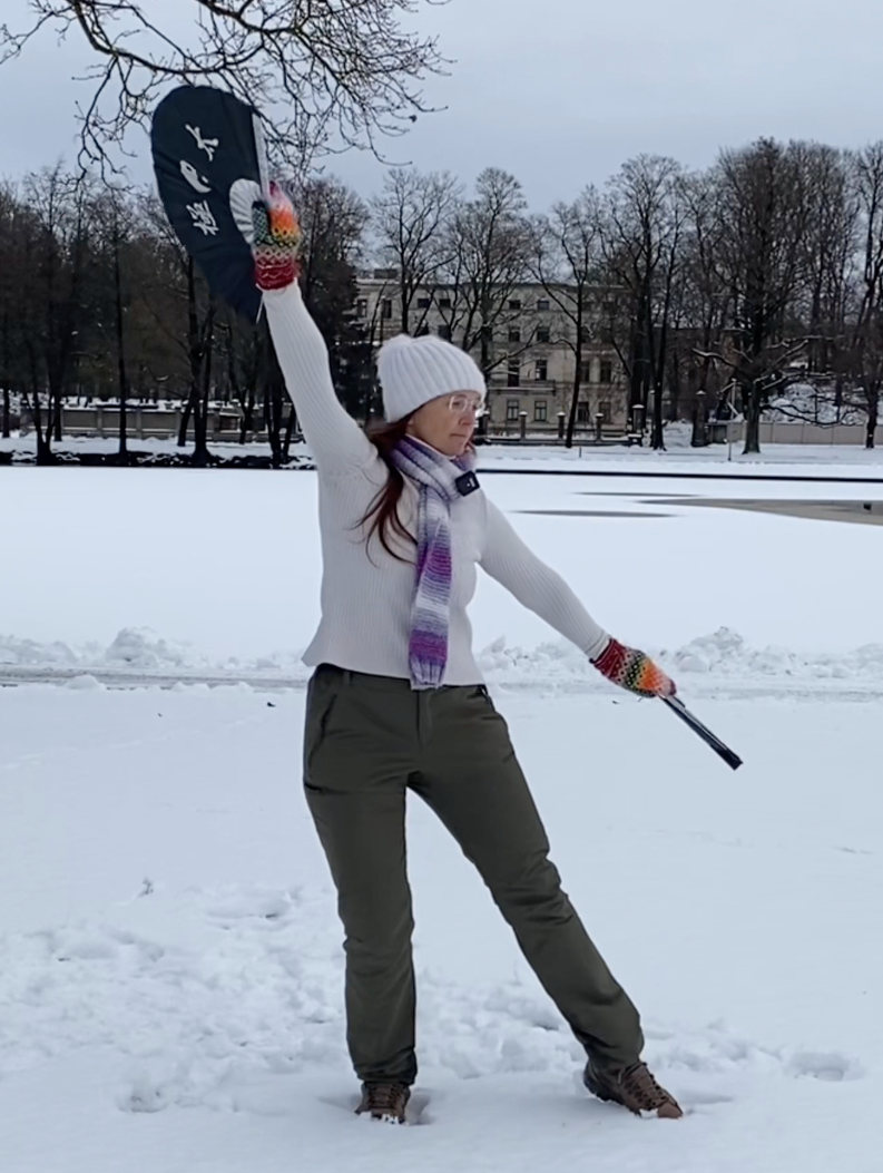 Taichifanflow: winter solstice daily movement - day 6