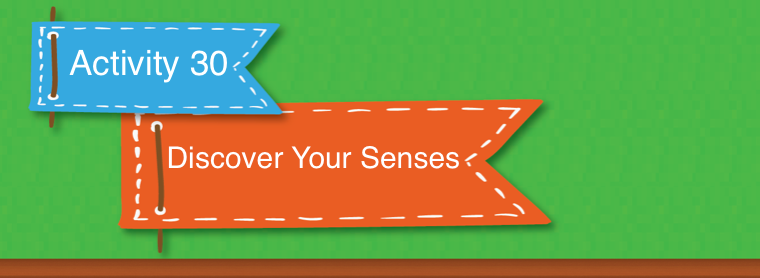 This activity helps build your child's reading comprehension skills. Creating a mental image in their mind when they read can help them better understand and retain what they are reading.
