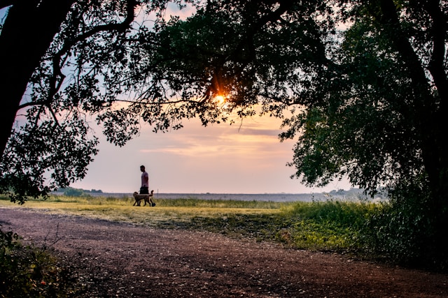 Homme qui promène un chien en pleine nature