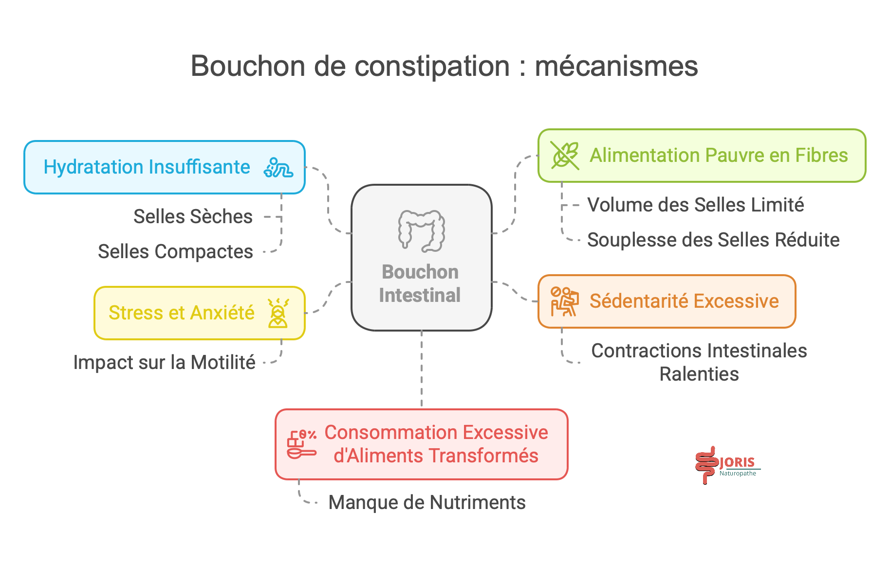bouchon de constipation