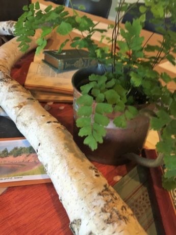 Below the garden a green field lush with clover sloped down to the hollow where the brook ran and where scores of white birches grew . . . upspringing airily out of an undergrowth suggestive of delightful possibilities in ferns and mosses and woodsy things generally.  (Ch 4)