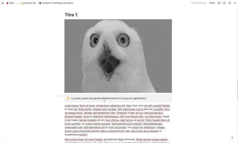 Créer des pages Notion Esthétiques ET Pratiques