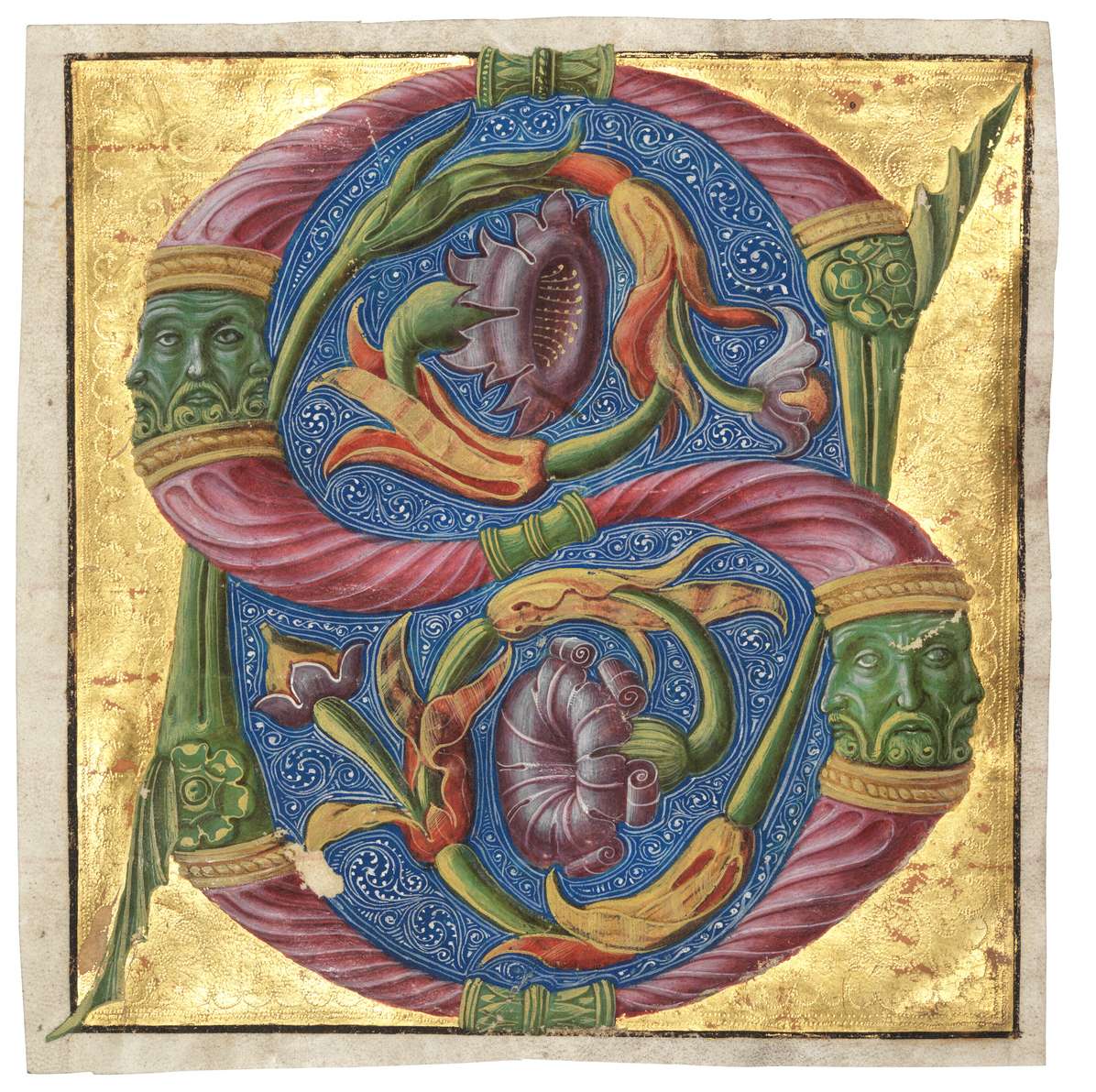 Giovanni Birago Botanical S