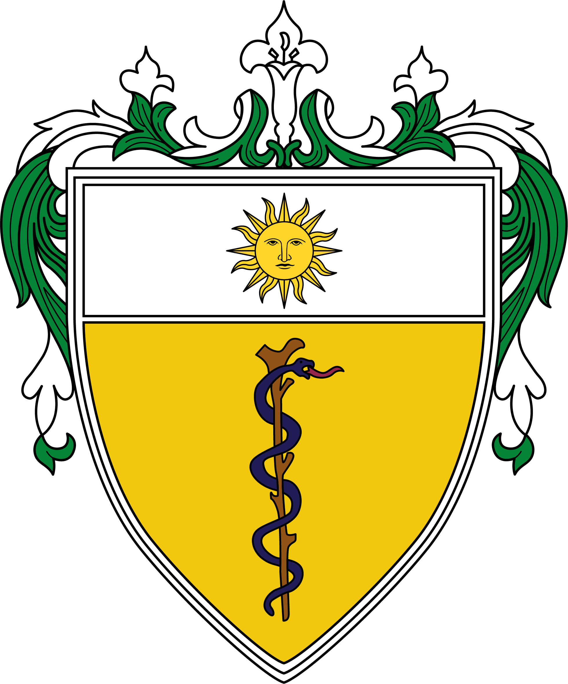 University of Santo Tomas - Faculty of Medicine and Surgery