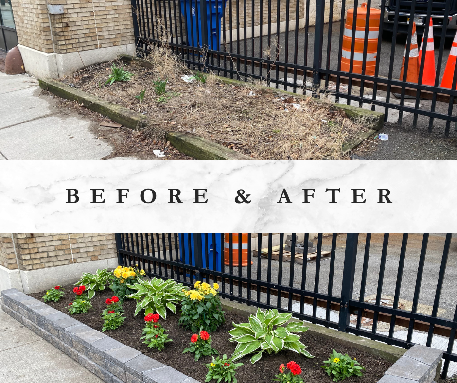 Lawn St Transformation