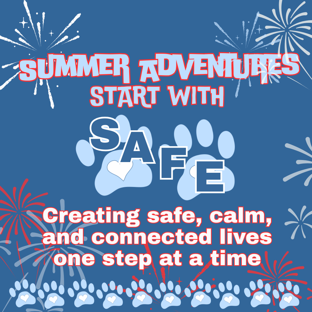 Black Lab with fireworks illustrations in the background, text says "Summer Adventures Start with SAFE!"