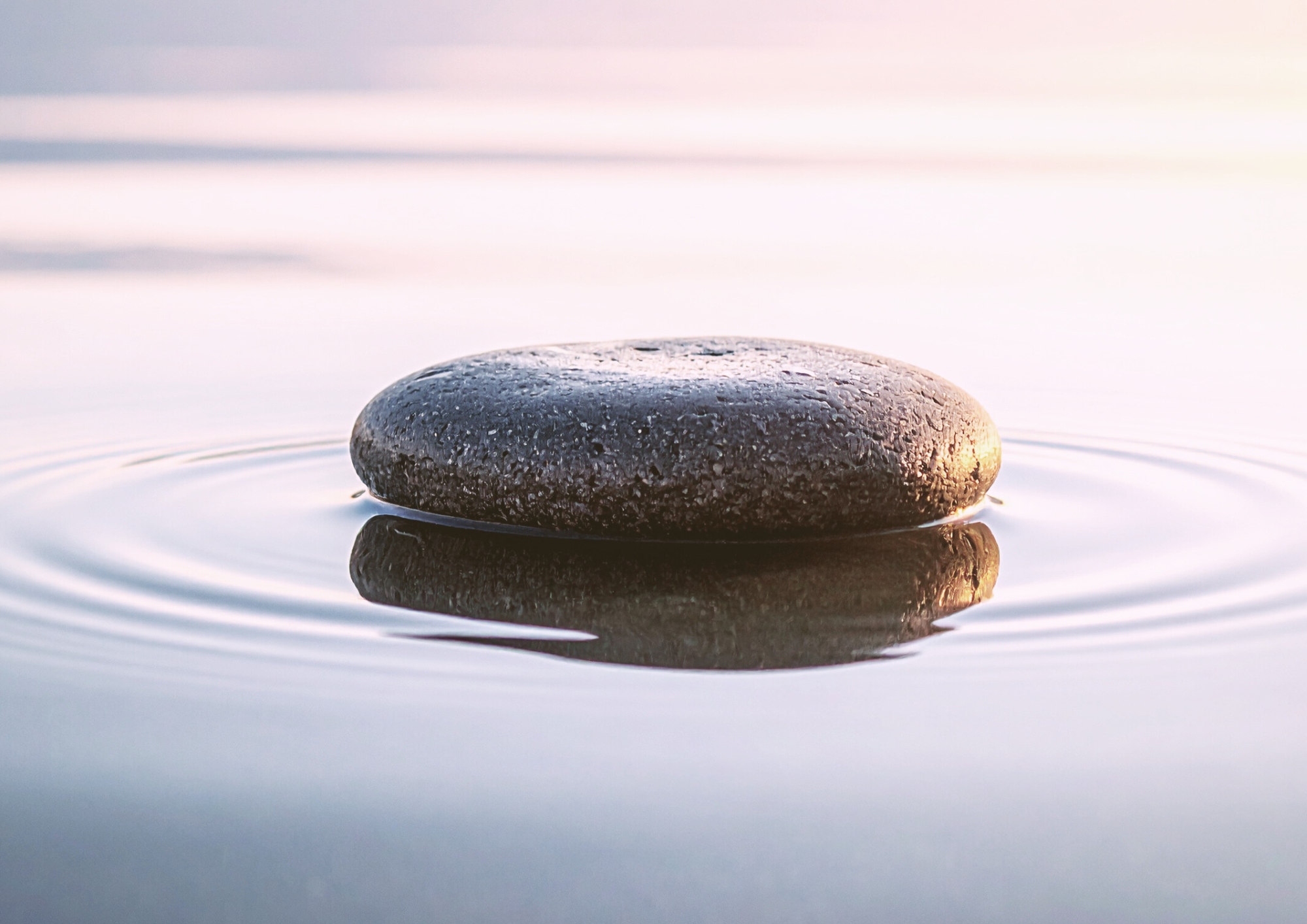 silence, résonance, simplicité