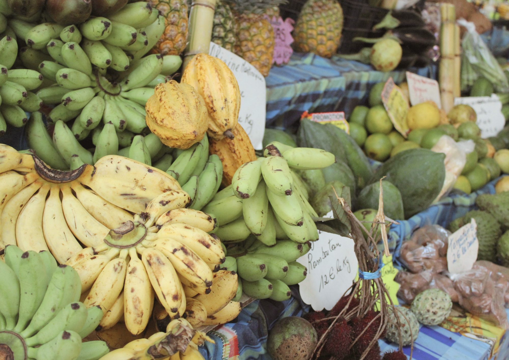 Un étal de fruits sur le marché