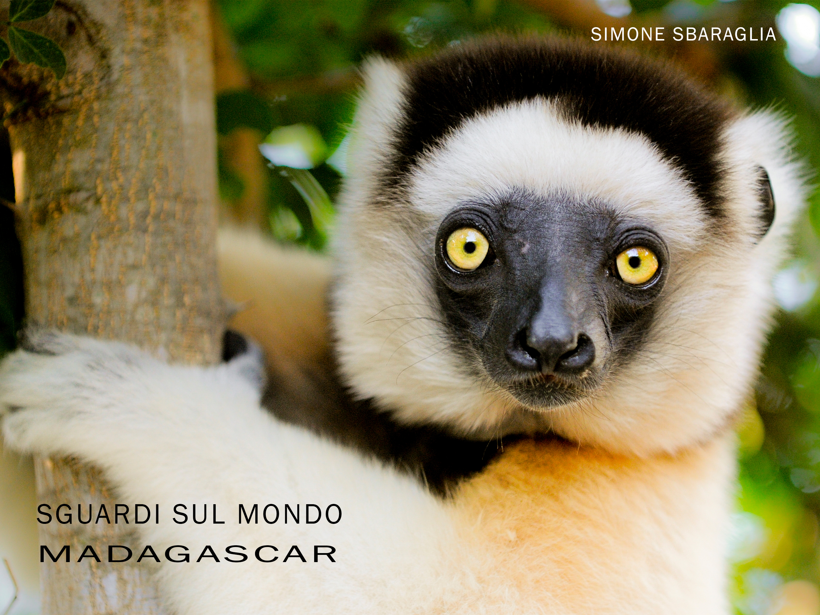 Sguardi Sul Mondo - Madagascar, image size:2835x2126