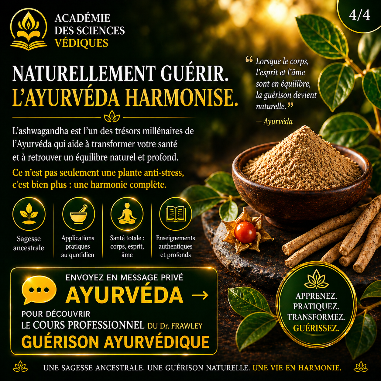 Formation ayurveda