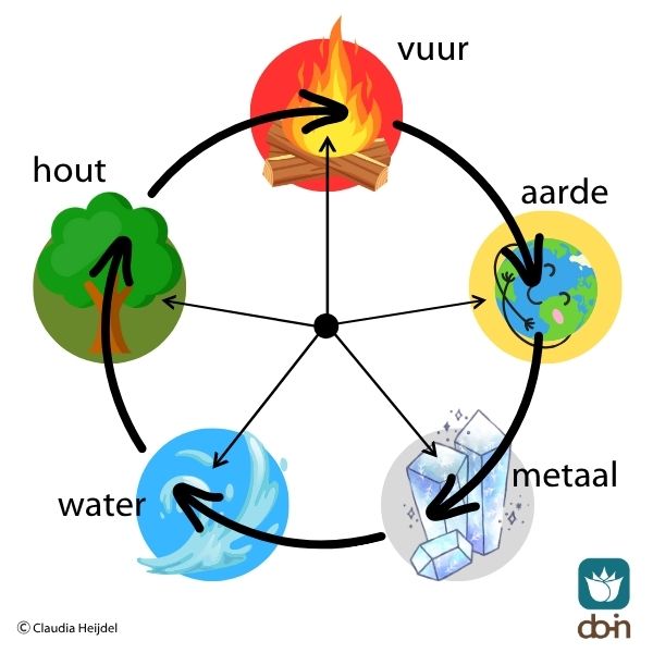 Infographic van de 5 Elementen in TCG: Hout, Vuur, Aarde, Metaal en Water en hun cycli