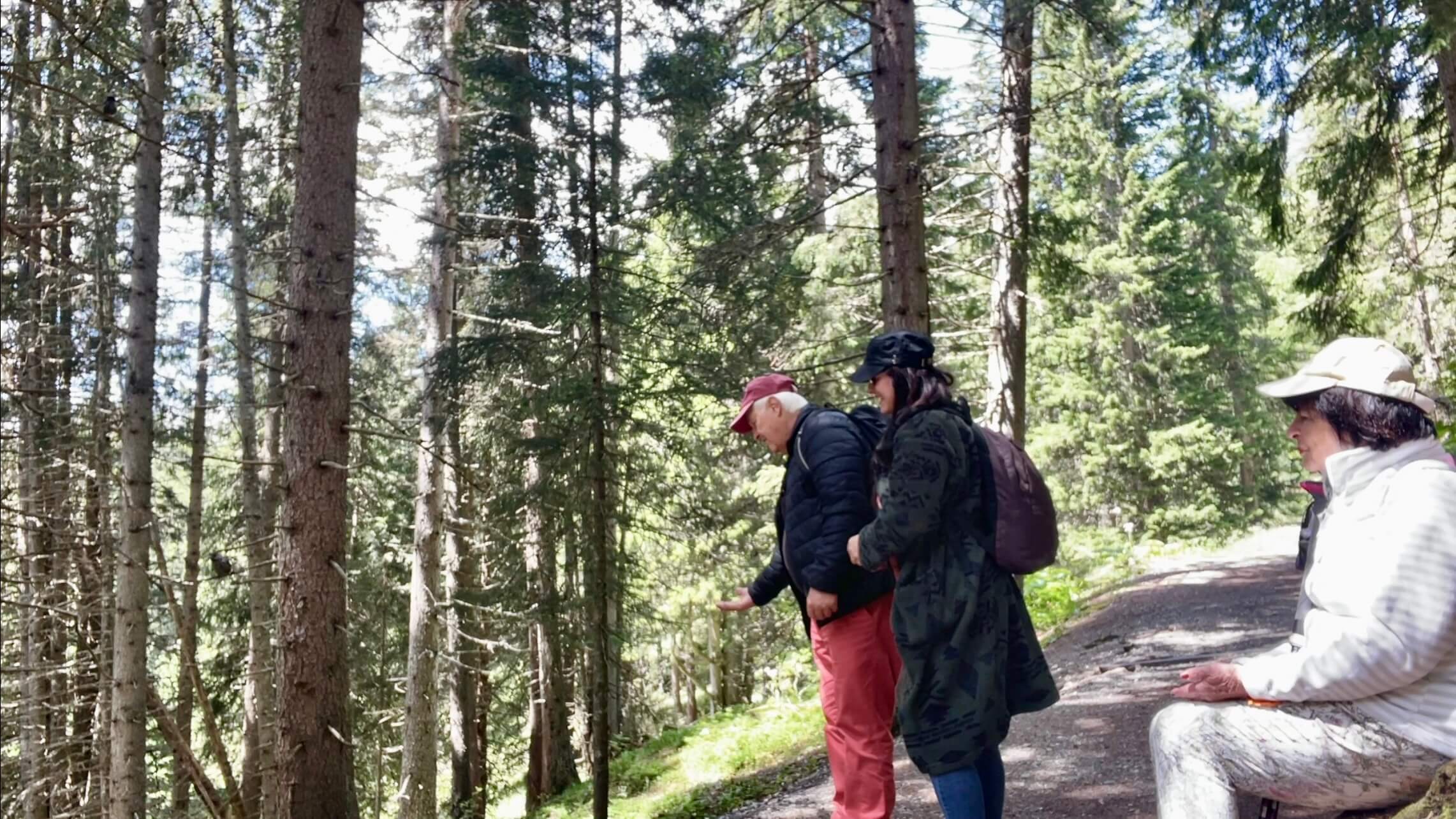 favie music travel arosa switzerland