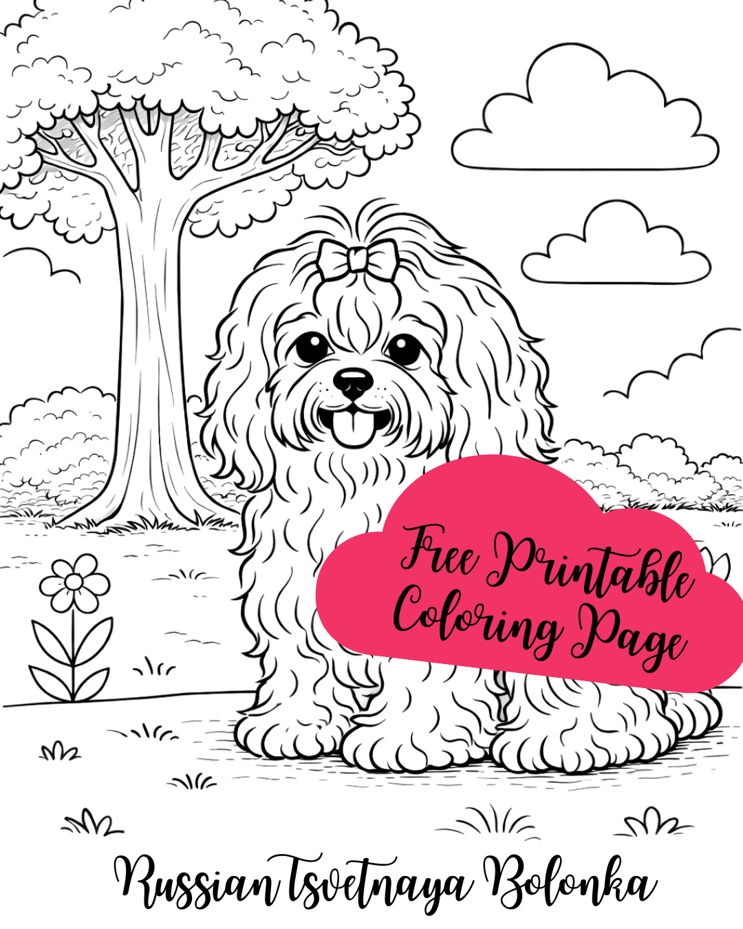 Russian Tsvetnaya Bolonka coloring page – black and white line art of a small, fluffy Bolonka furry paws, and a playful sitting pose. Printable dog breed illustration for children and dog lovers.