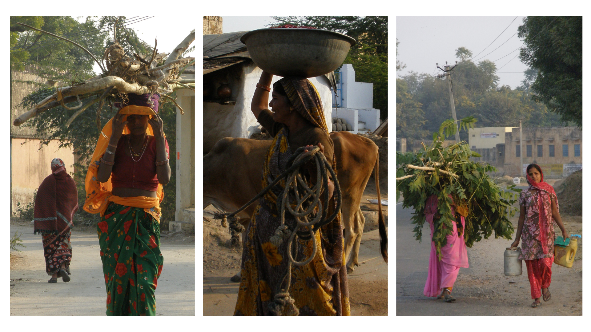 Local village life in Madhogarh