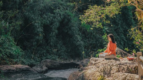woman sitting on brown stone near green leaf trees at daytime