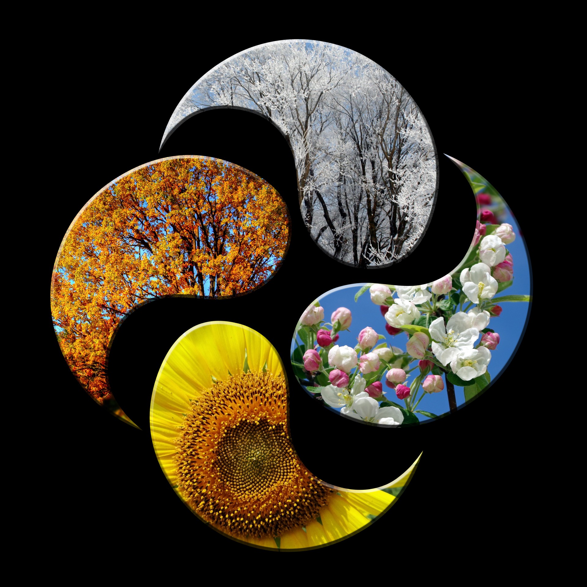 An symbolic image representing the four seasons.