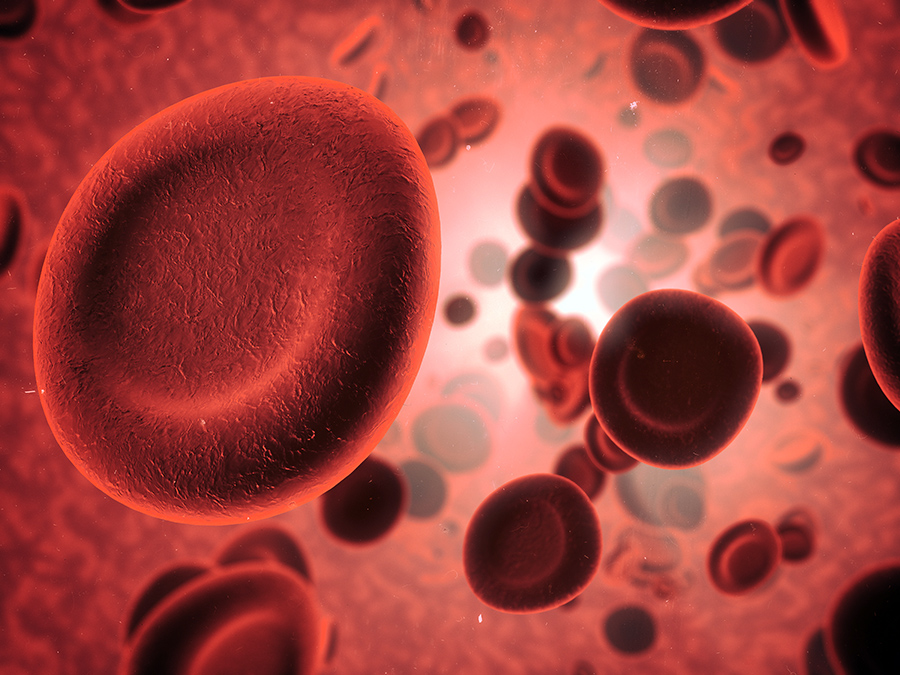 glucose attaching to red blood cells A1C concept  Caption