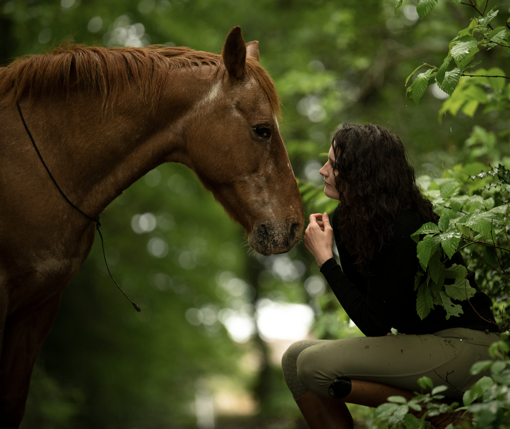 cheval jument femme forêt