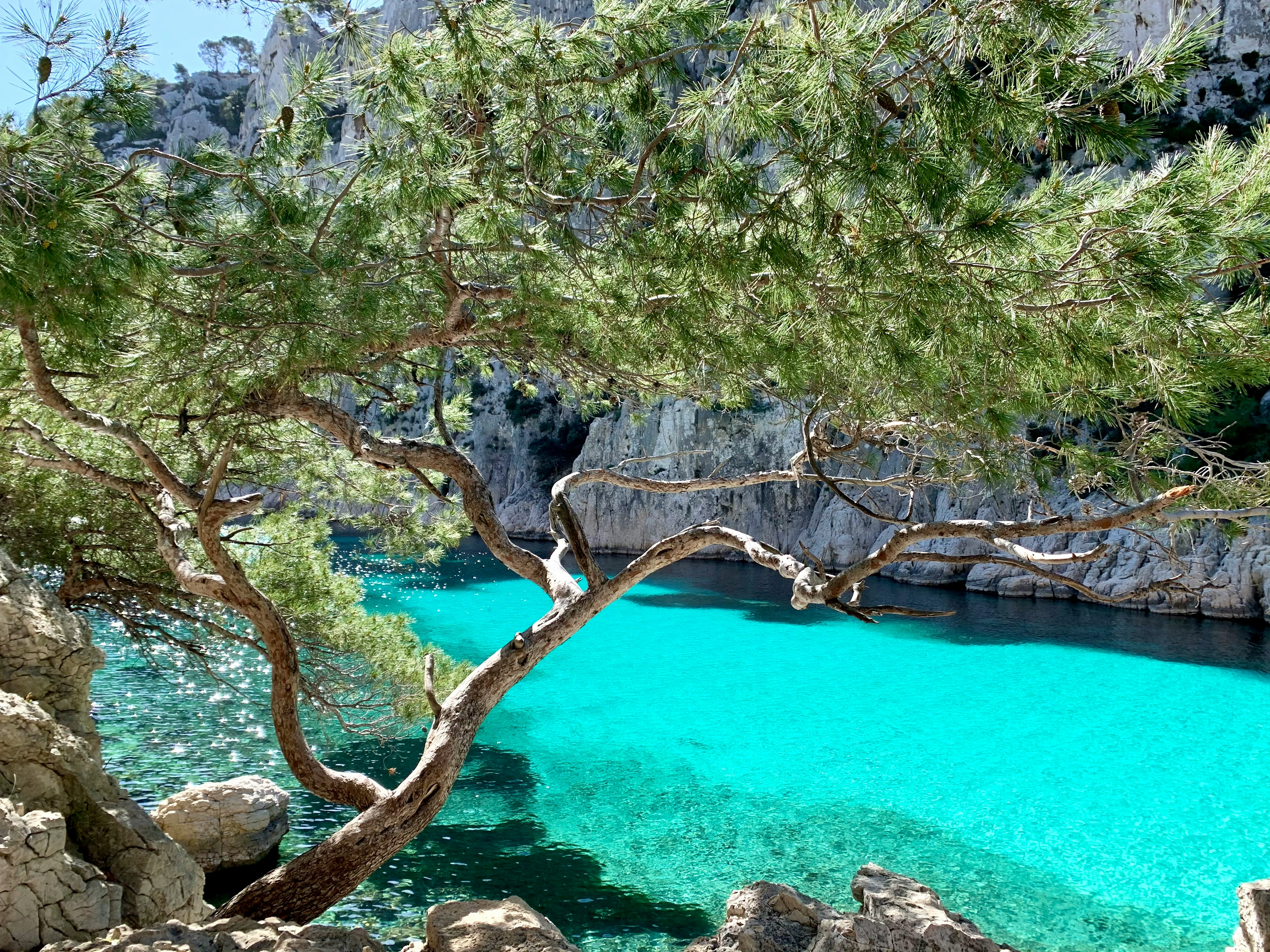 Calanque öböl Dél-Franciaországban