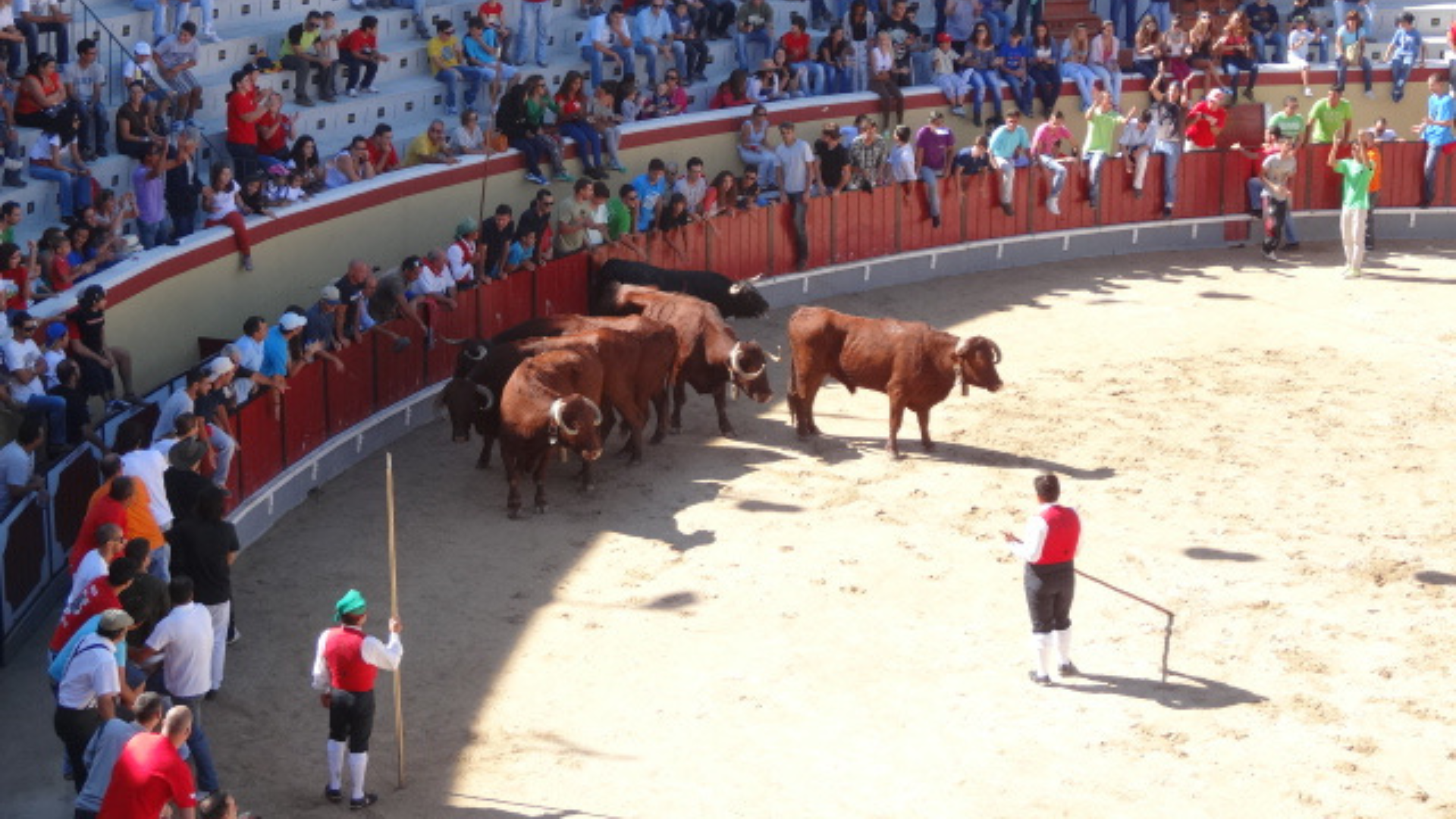 Campinos  & bulls Palha Blanco Bullring, Vila Franca de Xira | Portugal