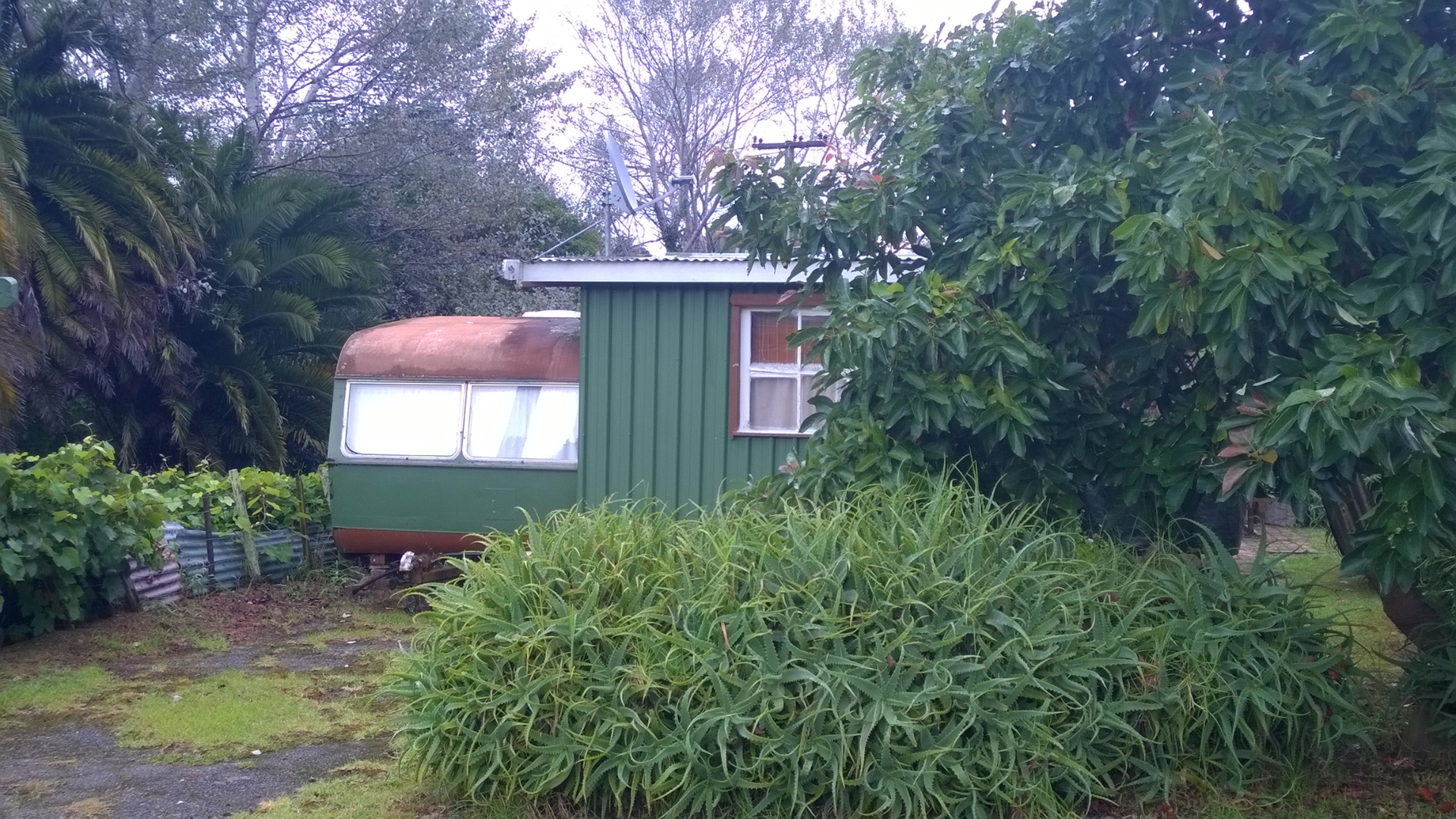 The Ruins - Tokomaru Bay | East Cape NZ