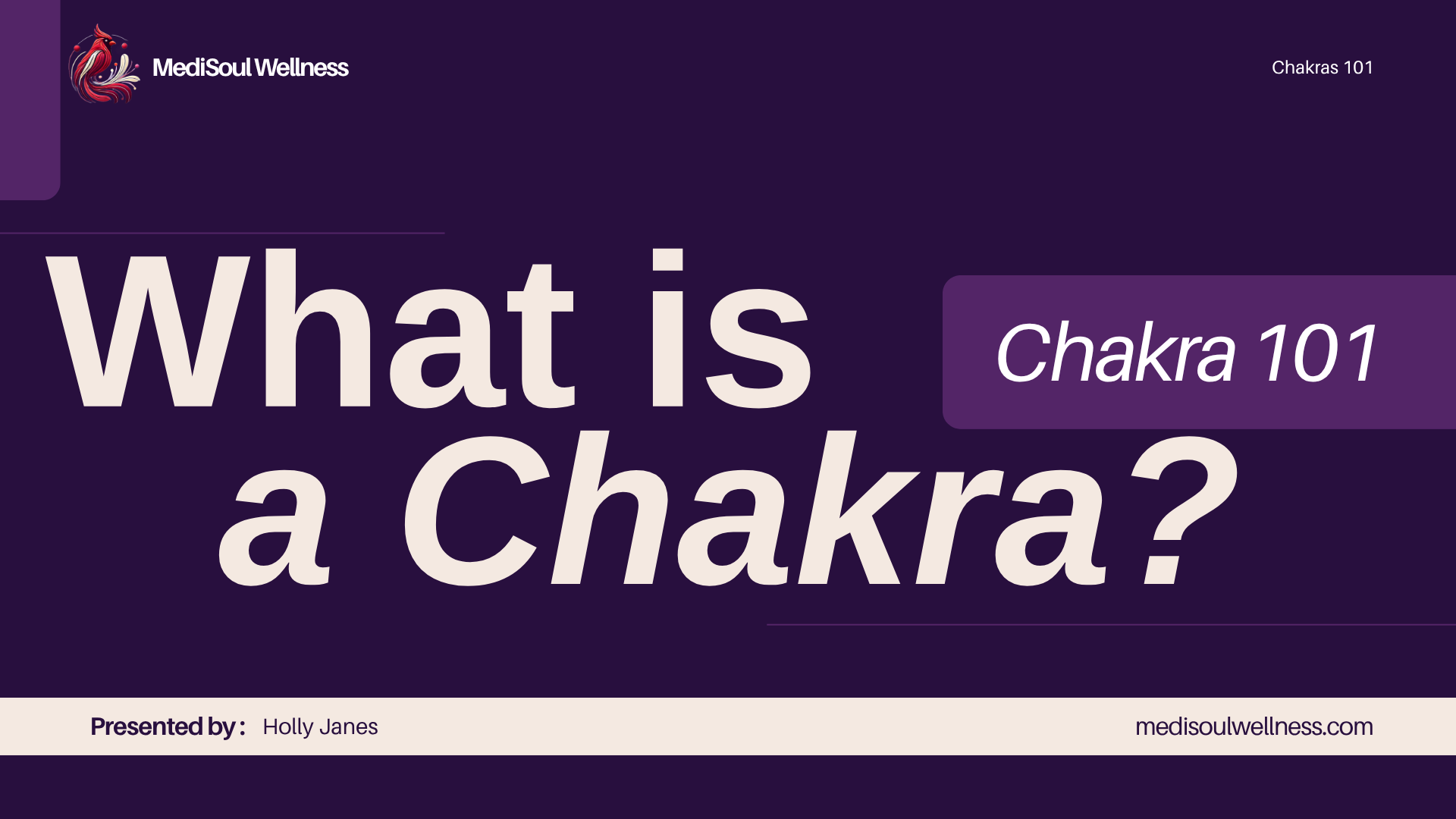 What is a chakras Chakras 101