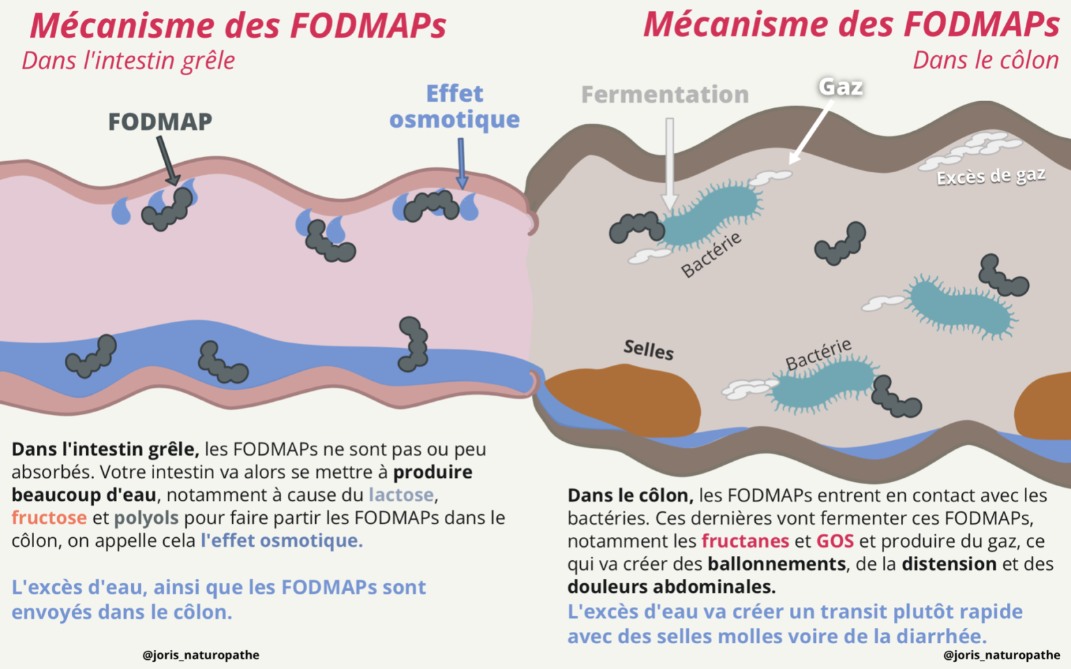 fodmap colon irritable