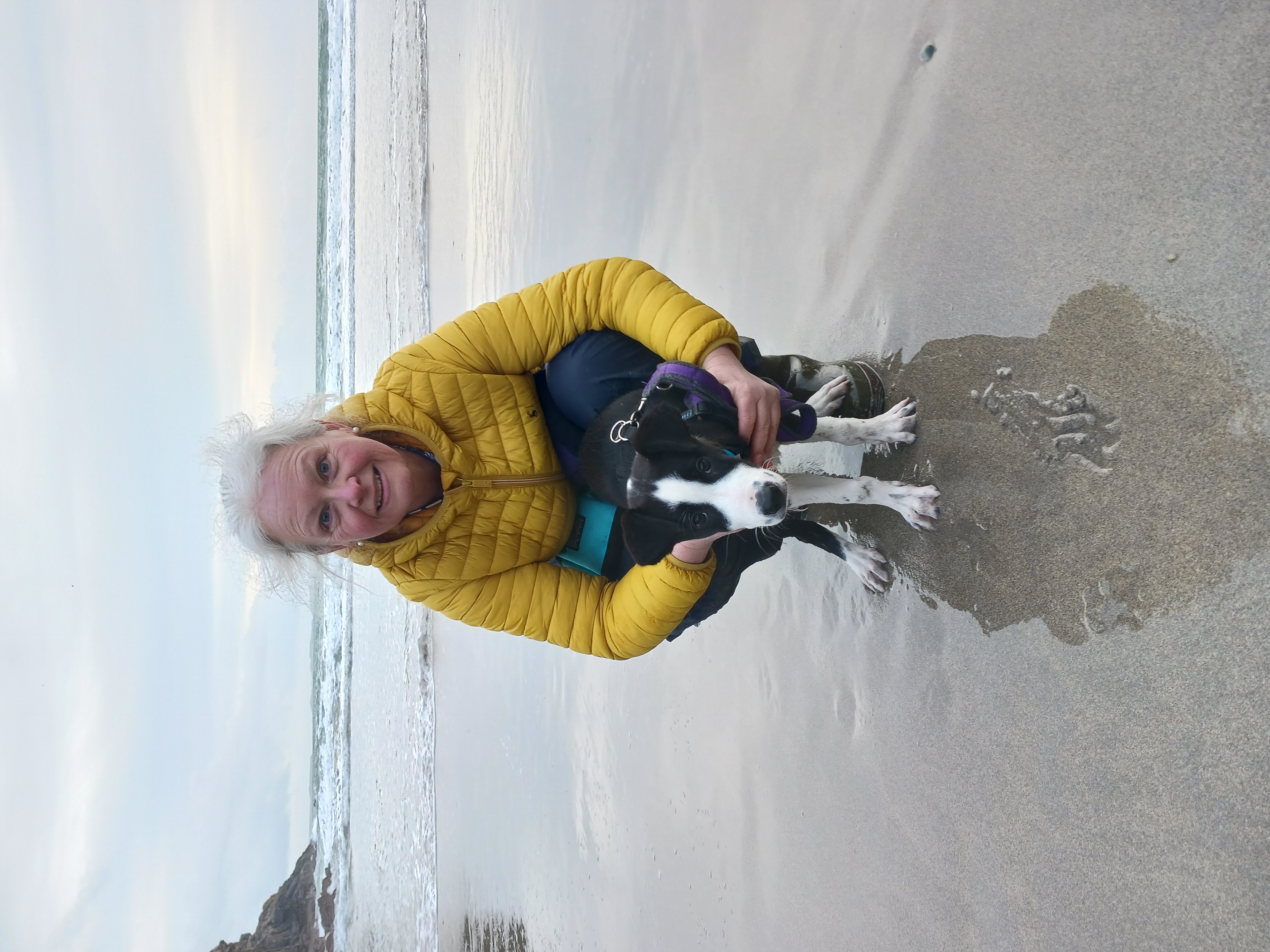 Morag Sutherland Director CAM4animals and Gelert Behaviour