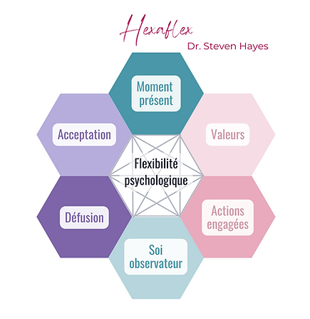 Hexaflex ACT - 6 processus vertueux