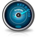 key ratios in business