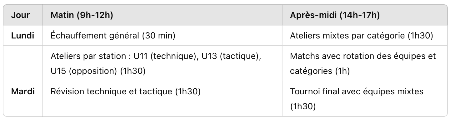 Stage handball : Ateliers multi-catégories avec des objectifs différents