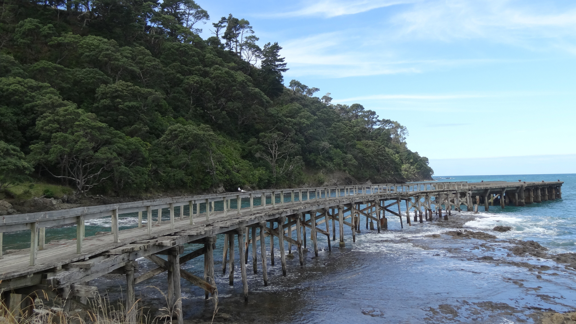 Hicks Bay Wharf | East Cape NZ