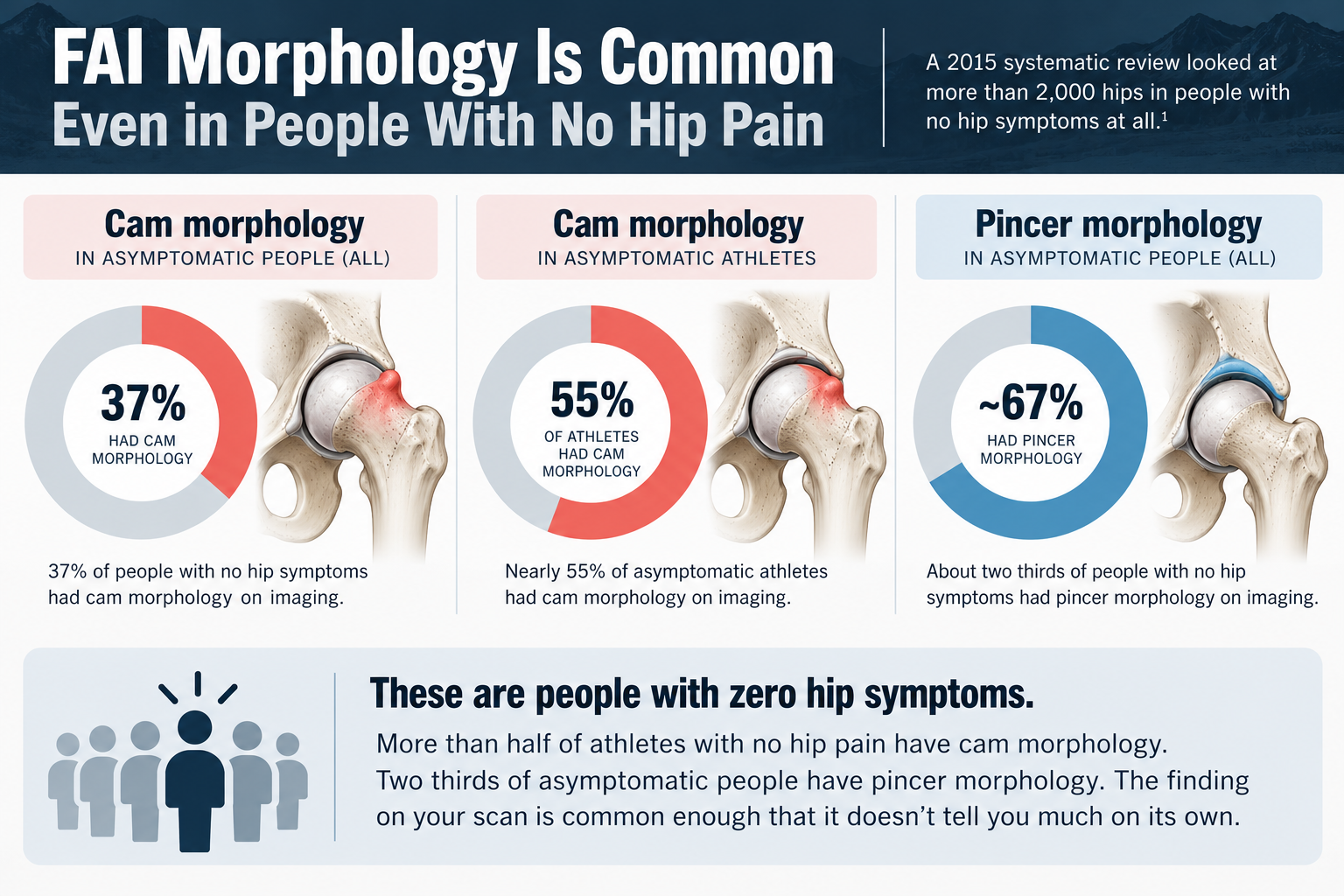 Infographic showing hip impingement (FAI) imaging findings in people without hip pain: 37% had cam morphology, 55% of athletes had cam morphology, and 67% had pincer morphology.  Copy alt text