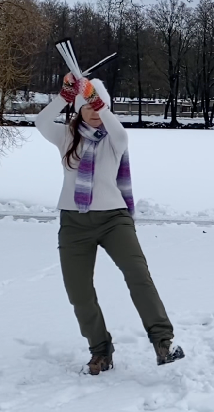 Taichifanflow: winter solstice daily movement - day 6