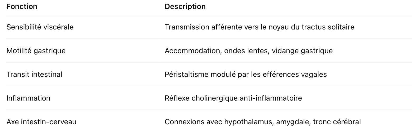 fonctions du nerf vague dans la digestion