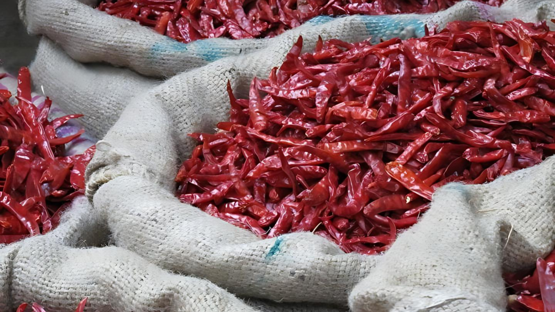 Khari Baoli, Spice Markets - Old Delhi