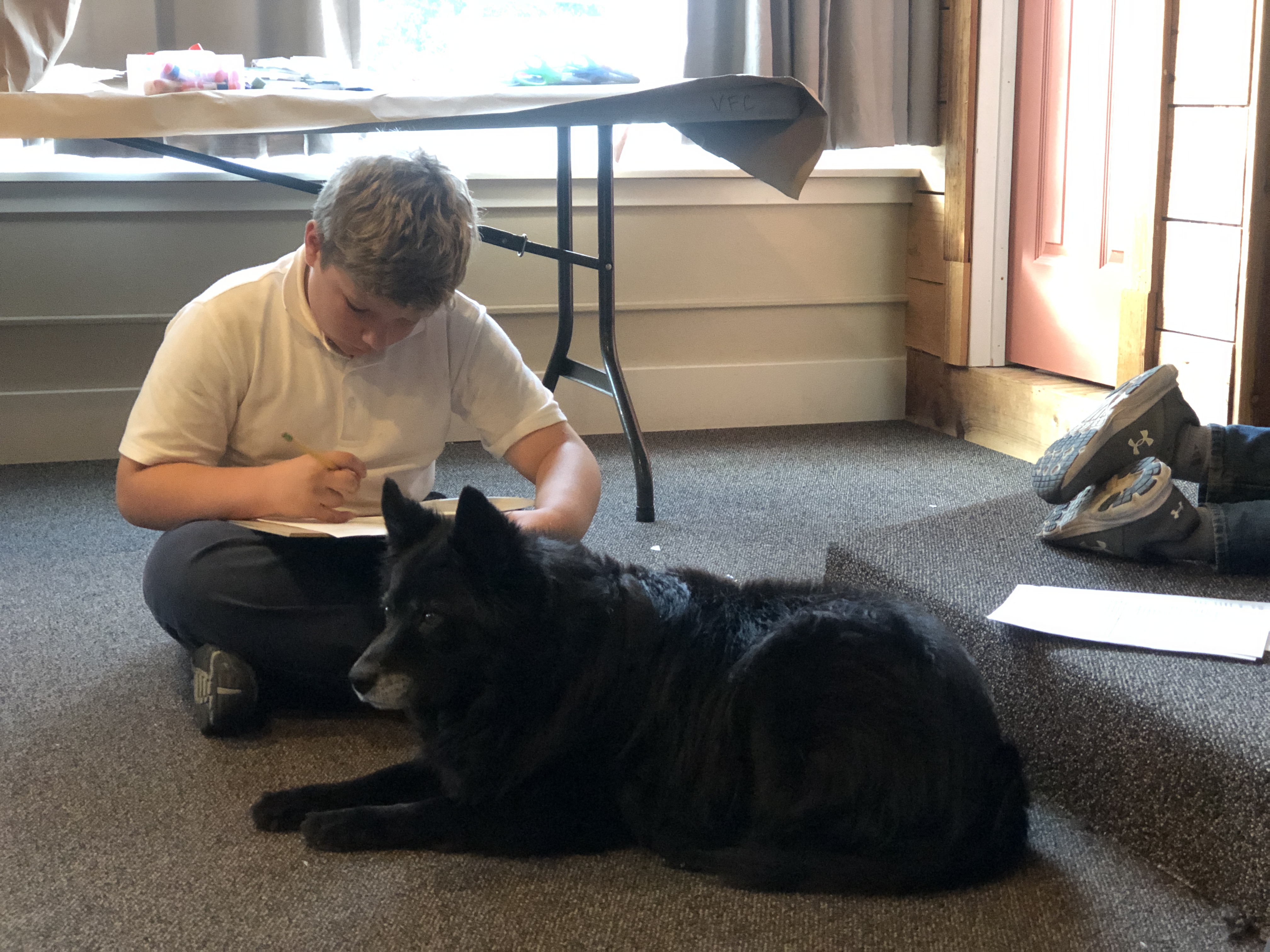 Gentle Ben the dog-shaped bear in GENTLE BEN by Walt Morey - LitWits Workshops creative teaching ideas