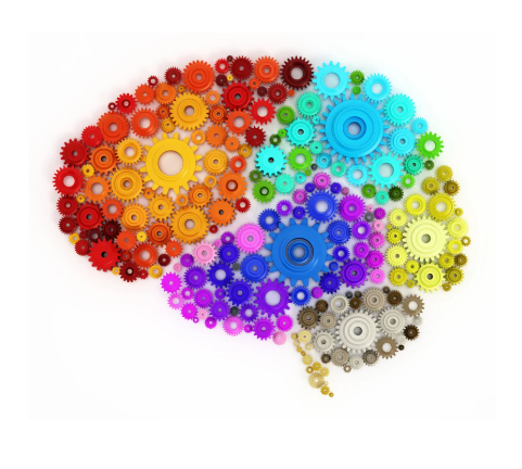 neuroscience of dental patient communication 