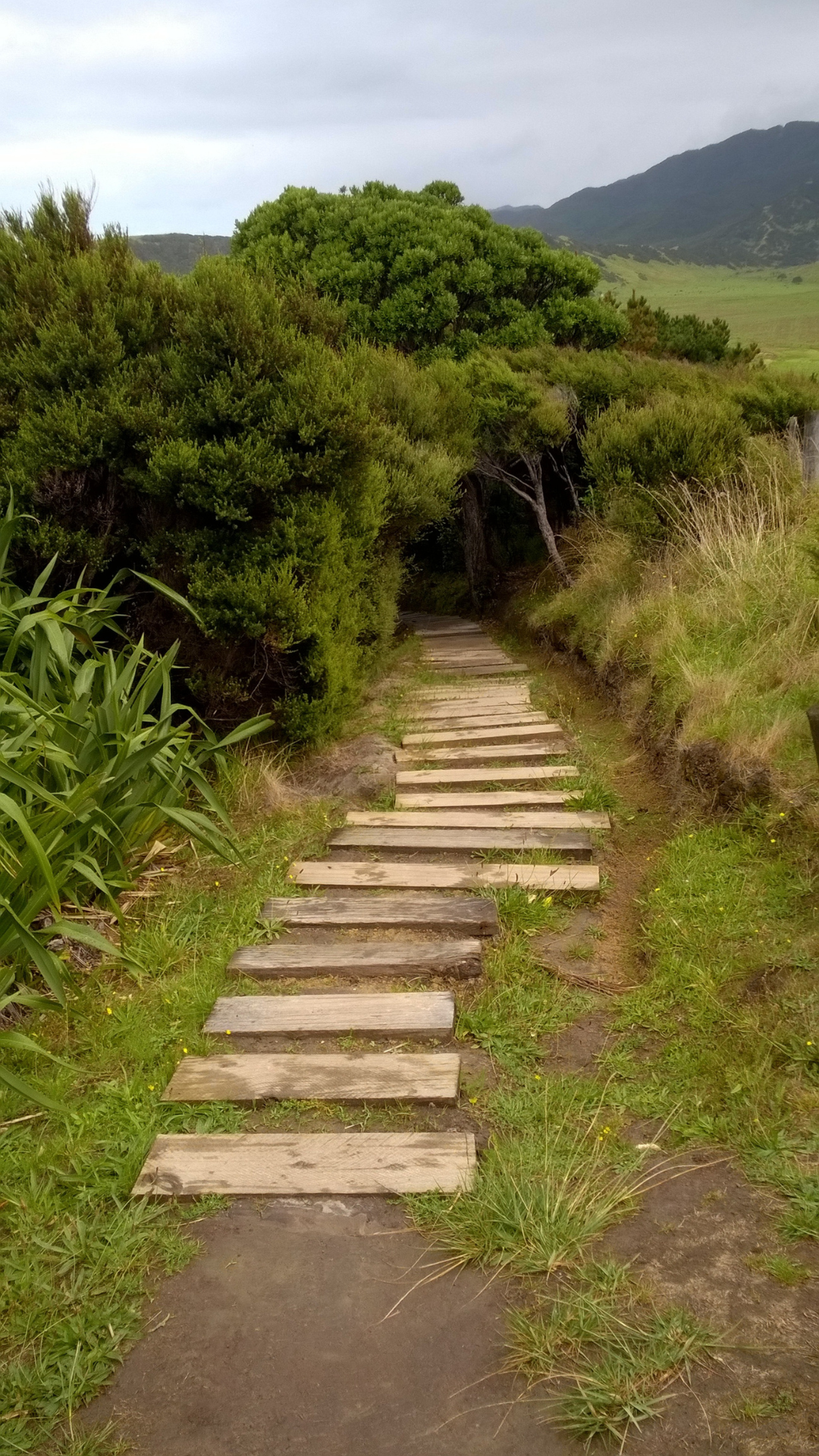 Steps to East Cape Lighthouse | East Cape NZ
